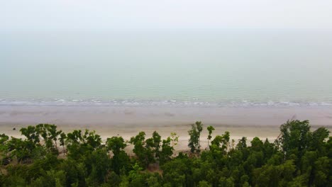 Aérea:-Bosque-Jhau-Como-Terraplén-Natural-Contra-La-Tormenta-En-La-Costa-De-Kuakata,-Bangladesh