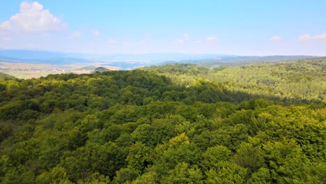 aerial view of mountain hills covered with dense green lush woods on bright summer day