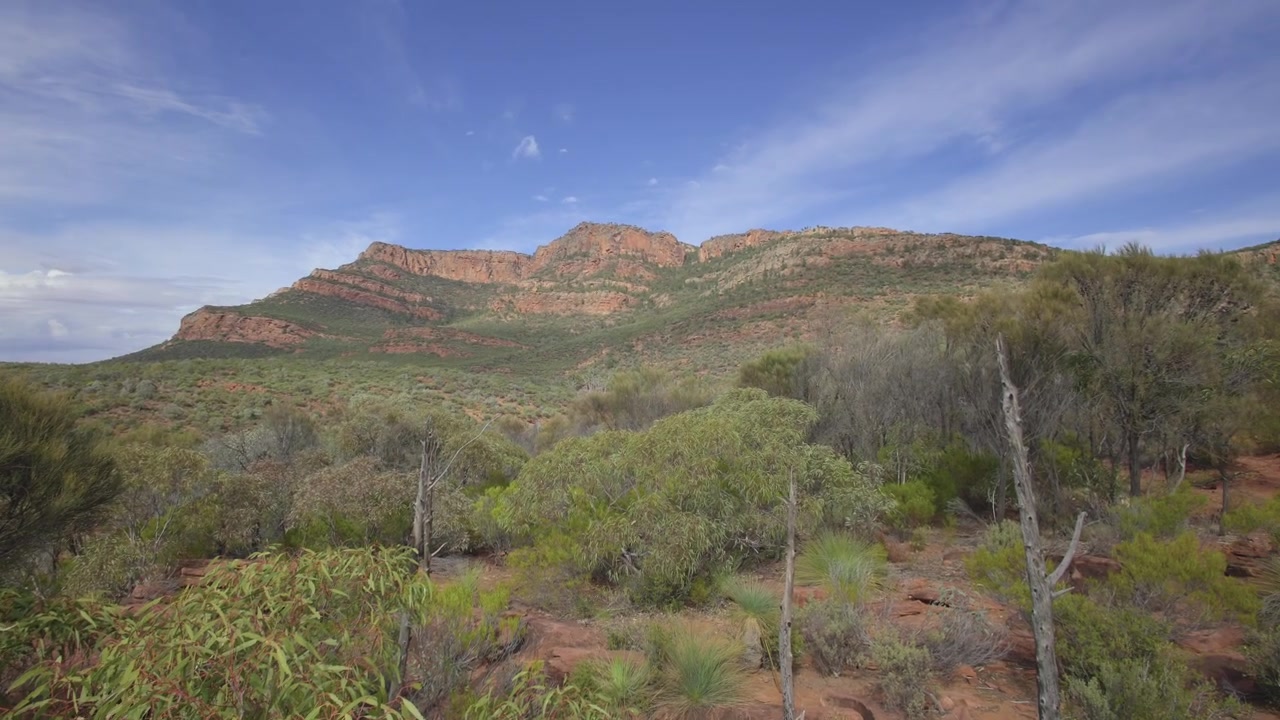 Flinders Ranges Milli Parkı'nda yüksek bir noktadan manzara panoramasını gösteren yavaş kamera kaydırması.