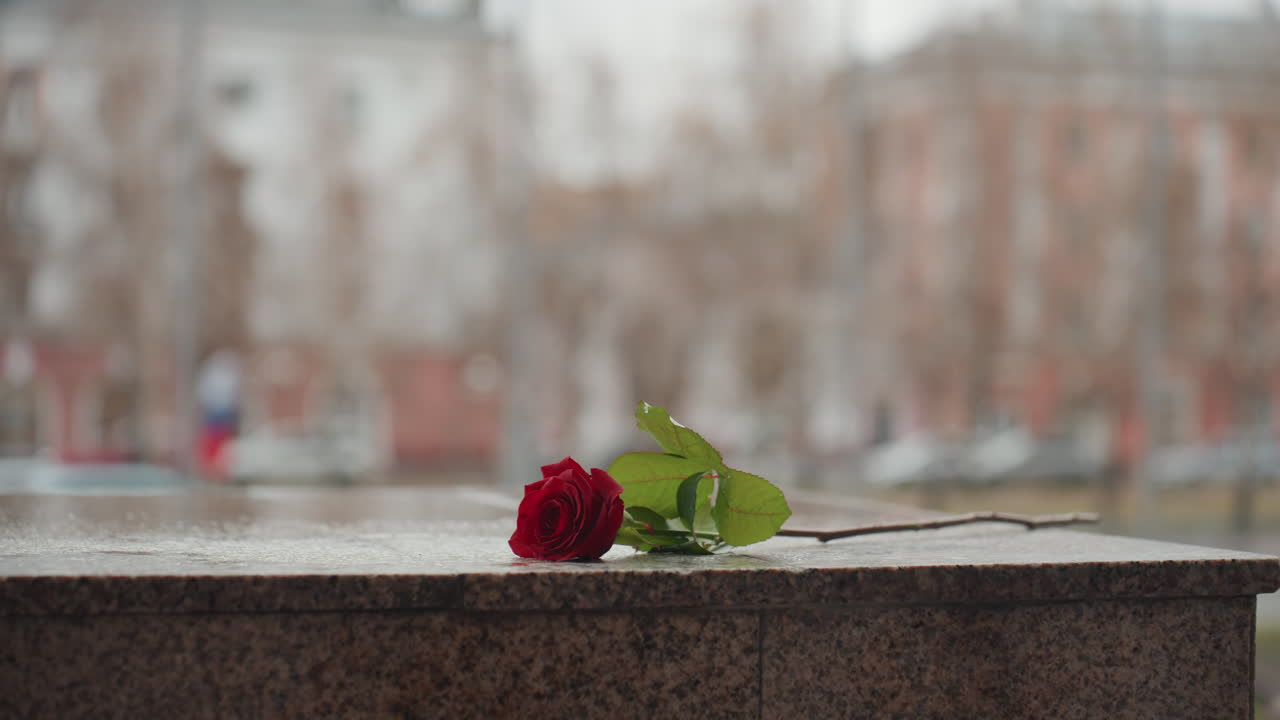 Rosa rossa su cornicione cittadino, offerta pubblica del creativo catturata in campo lungo con pedoni sfocati e skyline coperto, il fiore solitario evoca memoria, nostalgia e un tranquillo ricordo urbano