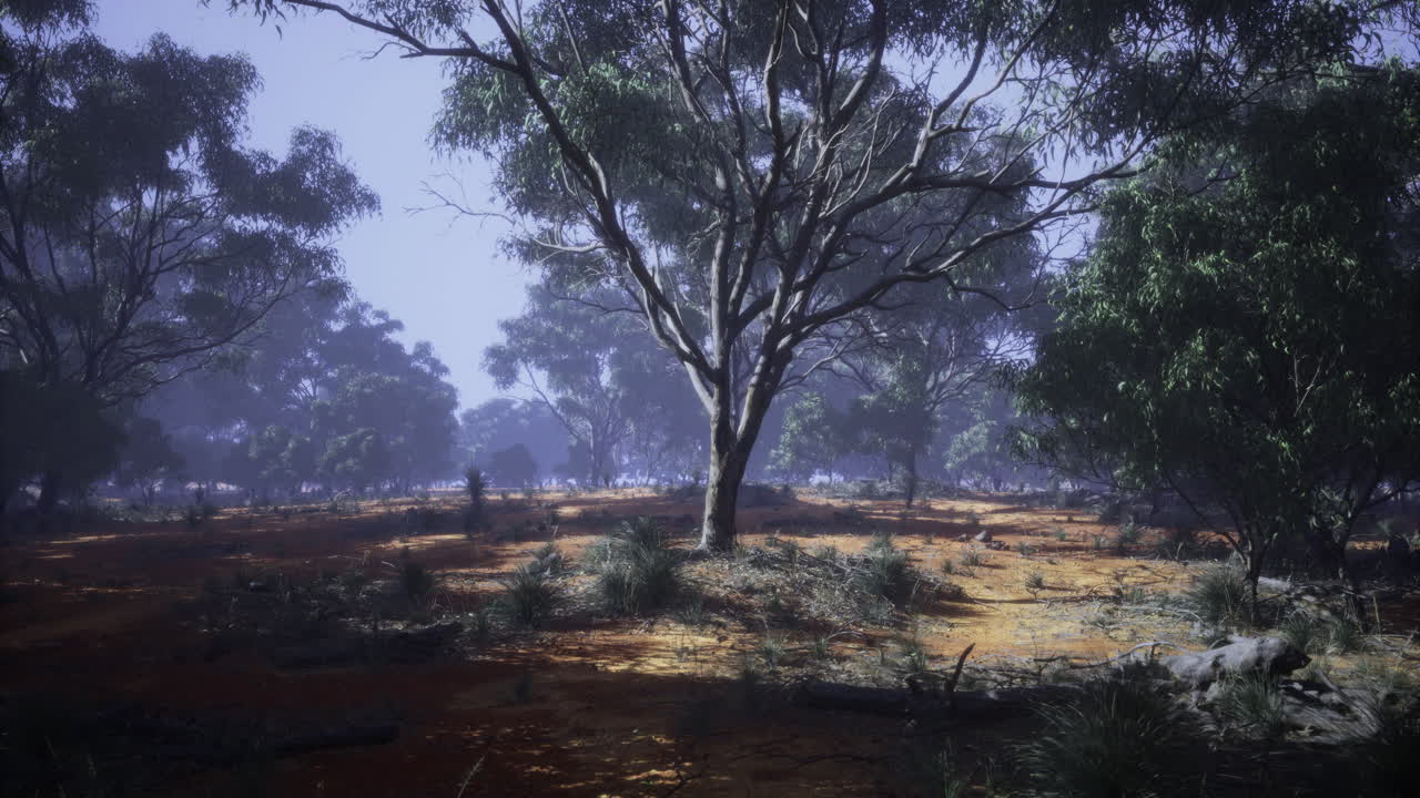 Sunlit grove revealing a tranquil landscape in the early morning hours