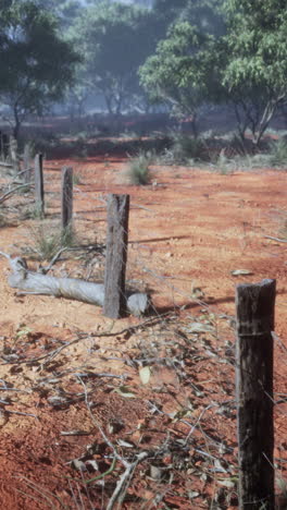 a wooden fence post and barbed wire in the outback