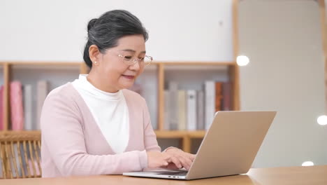 Una-Mujer-Mayor-Con-Gafas-Usa-Una-Computadora-Portátil-Para-Escribir-En-Un-Sofá-En-Una-Acogedora-Sala-De-Estar-Para-Comunicarse-Y-Entretenerse-En-Su-Vida-Hogareña.