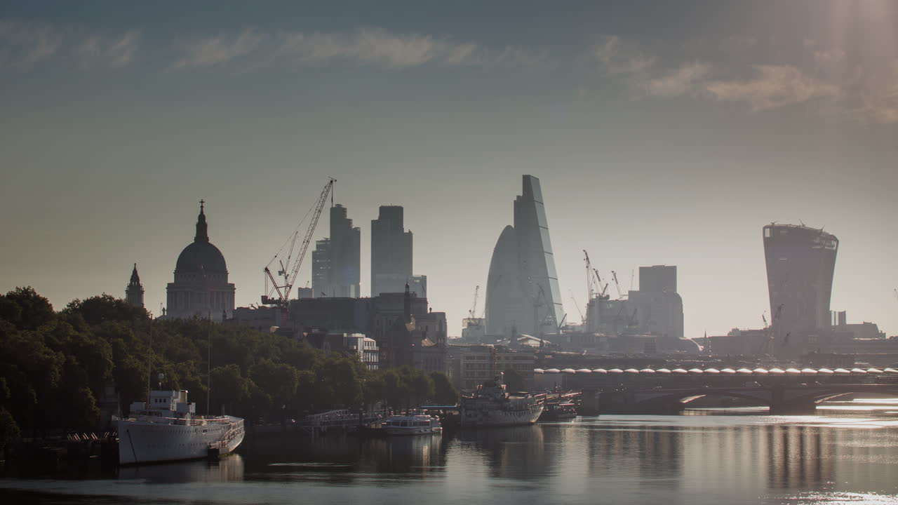 작은 오이 아침 4k 02