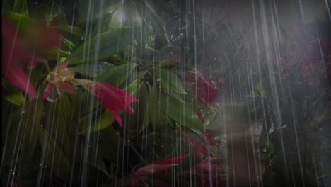 tropical storm with flashes of lightning and heavy rain