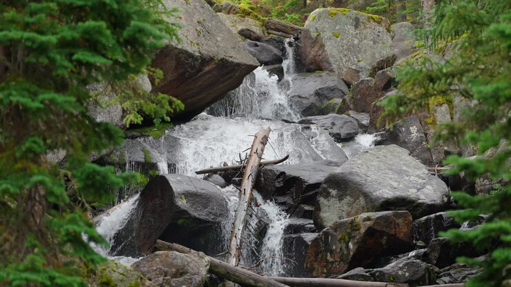 Ancient forest waterfall flowing through moss covered rocks and tall trees