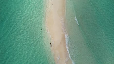 top down aerial view of a sandbar in the middle of ocean with woman stand wet beach hat in water