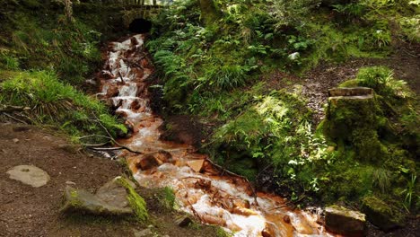 clay coloured waterfall passing under a bridge in a leafy scottish forest