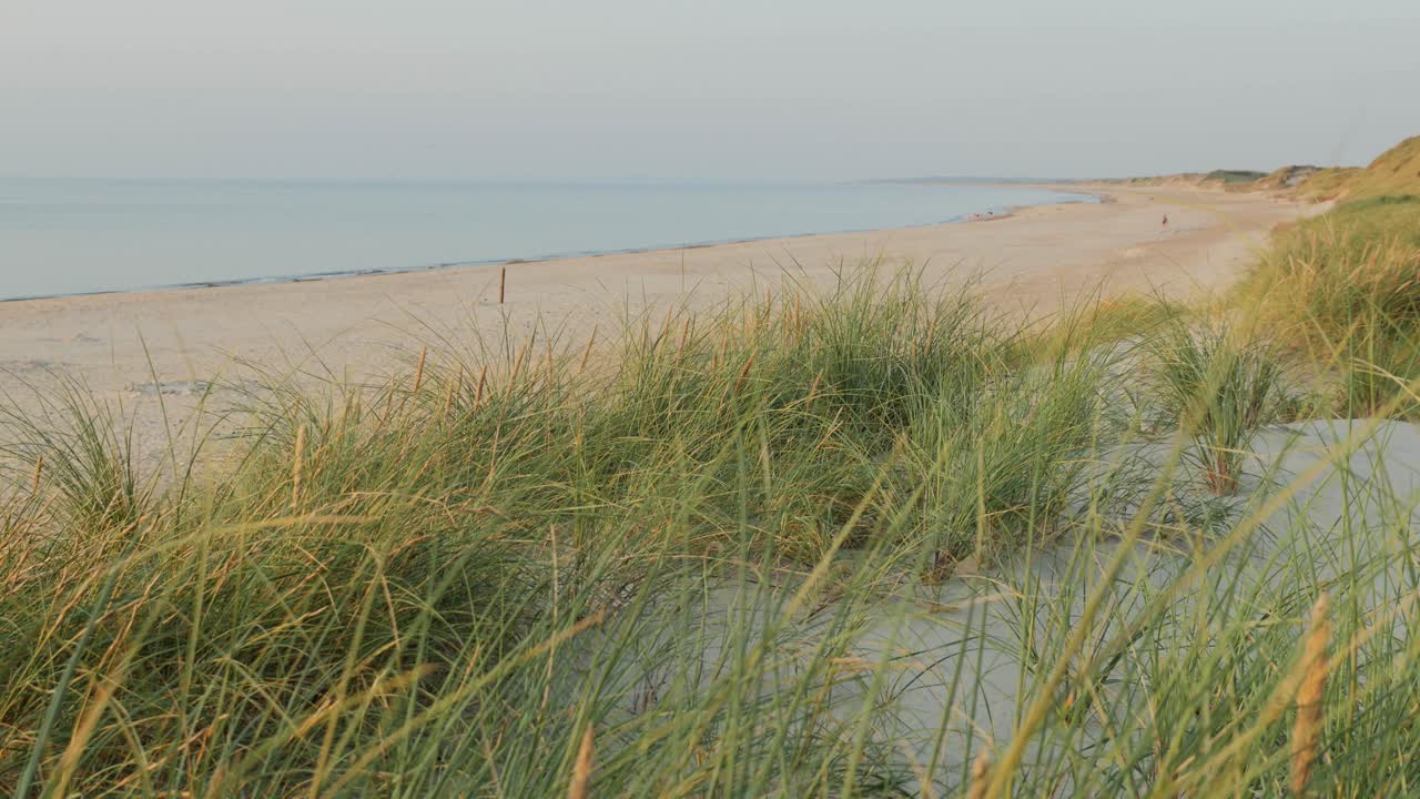 живописный вид на пляж, наклоненная камера с травой на переднем плане