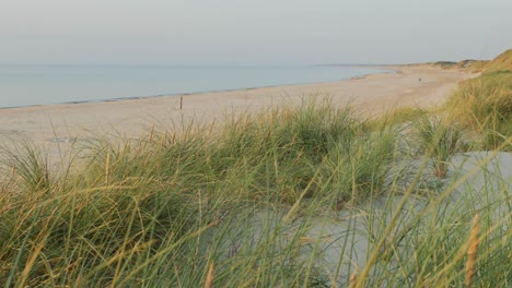 Vista-Escénica-Sobre-La-Cámara-Inclinada-De-La-Playa-Con-Hierba-En-Primer-Plano