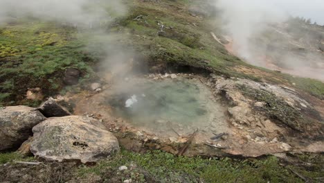 boiling water pool in yellowstone national park