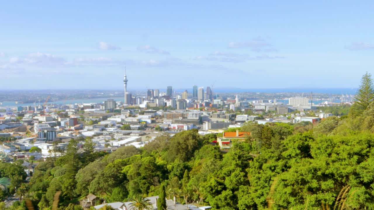 뉴질랜드의 오클랜드 스카이 라인의 여행 은 푸른 하늘과 함께 빛과 은 오후에 풍부한 식물과 함께 멀리서 볼 수 있습니다.