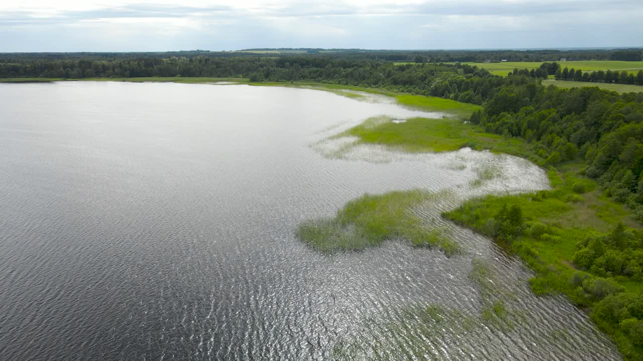 Gorgeous aerial flyover drone footage of a large brown and blue colored lake in the wilderness countryside with green beach grass marram grass and green forest treetops vsible on the side