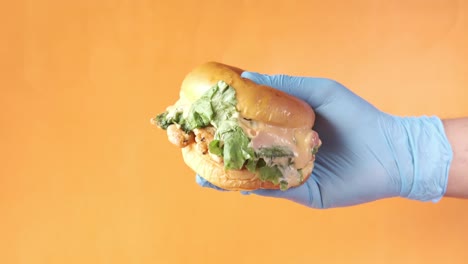 hand holding a chicken sandwich