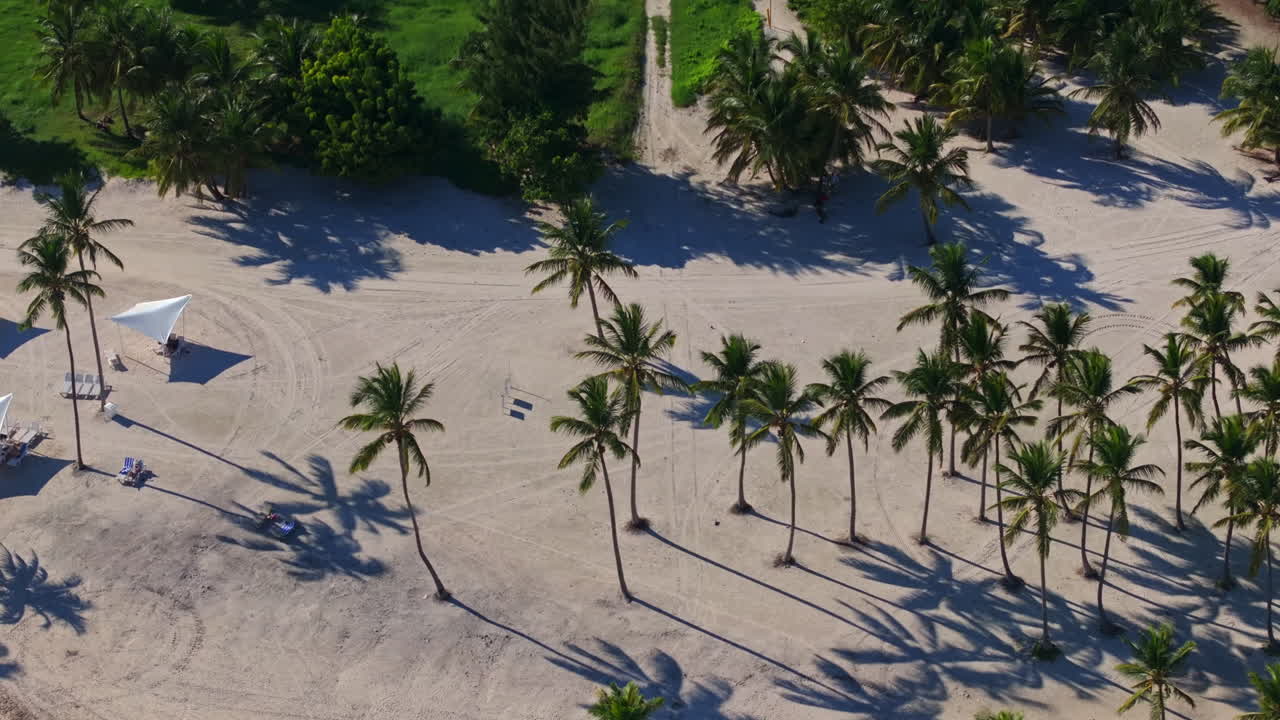 Stunning aerial and ground footage of Cabarete and Punta Cana beaches in the Dominican Republic. Turquoise waters, swaying palms, and white sand capture the essence of a Caribbean tropical paradise.