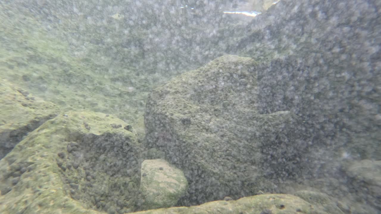 바위와 플랑크톤의 수중 풍경