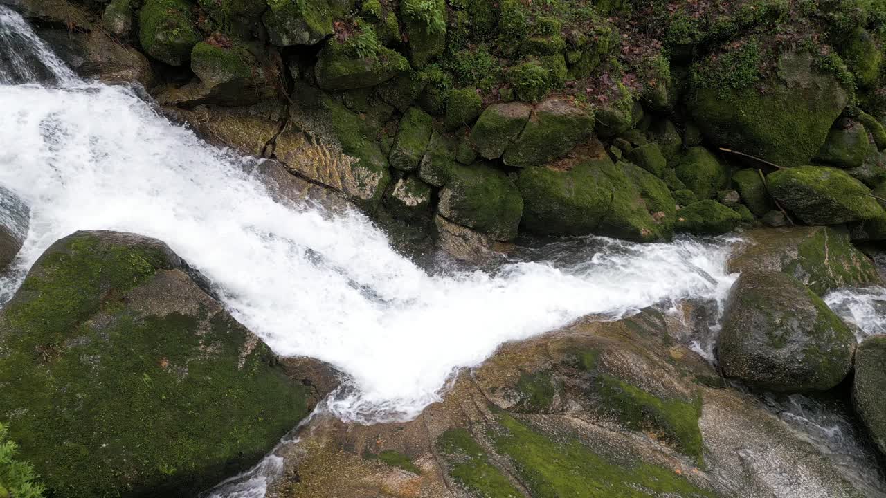 Vibrant Forest Waterfall Over Mossy Rocks
