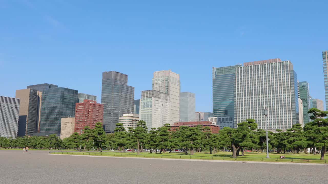 도쿄 최고의 전망