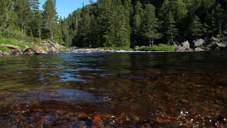 Clear-river-water-ripples-over-red-rocks-with-alpine-forest-background