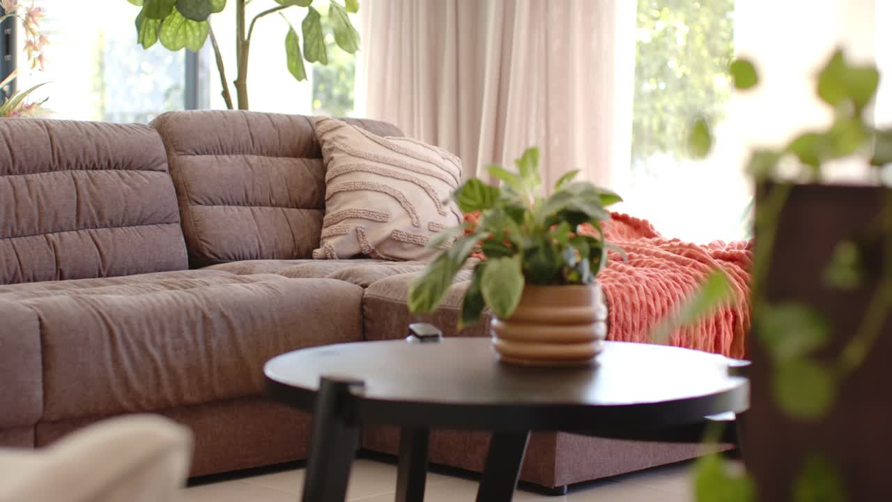 Camera push and breeze are moving framing and rustling potted plant on coffee table, settling focus