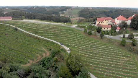 coches y furgonetas circulando por la región vinícola de jeruzelum en eslovenia desde una perspectiva aérea