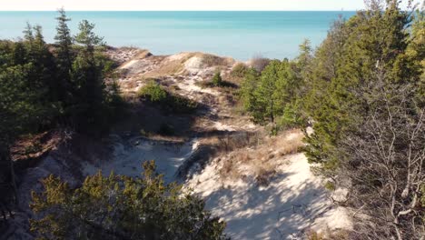 aerial view of flying out of a forest and coming to the edge of an island