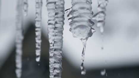 close up of water dripping off icicles in slow motion