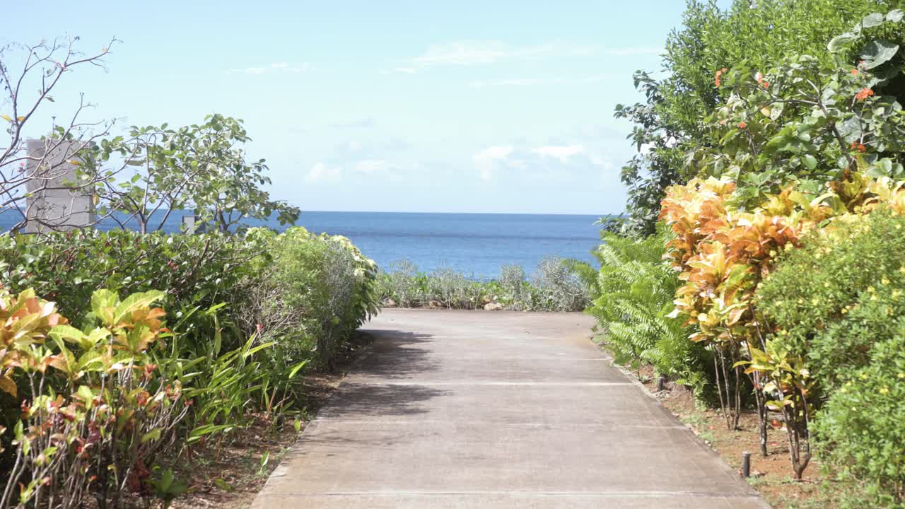 Woman's hair blows in the wind as she rides towards camera on monowheel electric unicycle
