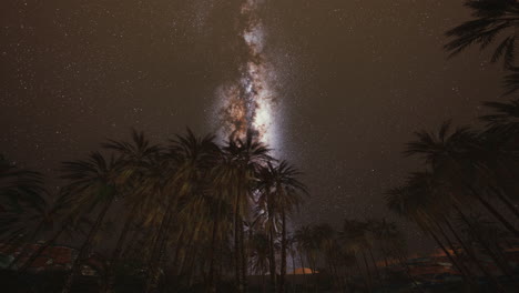 escena nocturna con cabaña de silueta y árbol de coco con la galaxia de la vía láctea en el cielo