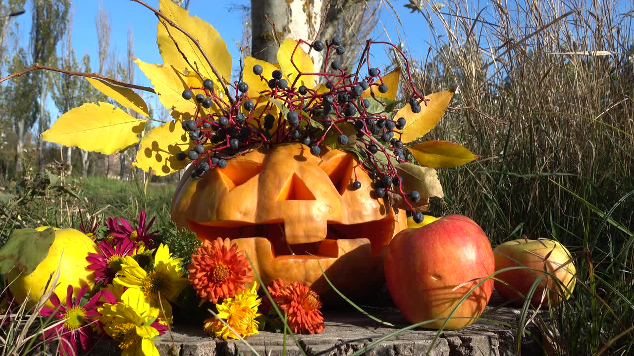 Calabaza de Halloween espeluznante. El monstruo se sienta en un tocón de árbol. Sesión en octubre.