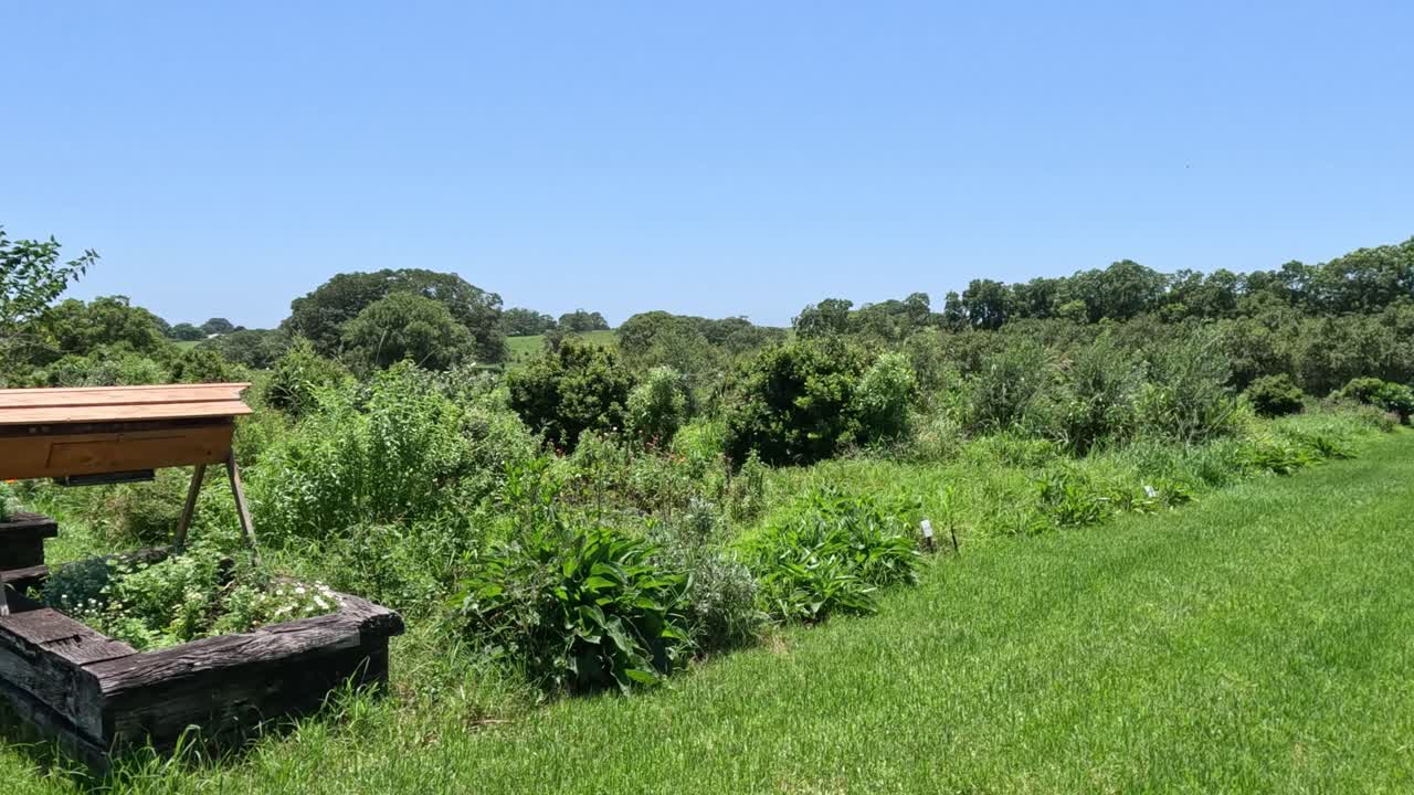 banco de madera gradualmente entra en el enfoque al aire libre