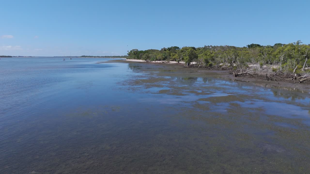 vista aérea del ecosistema de manglares de marea y el agua