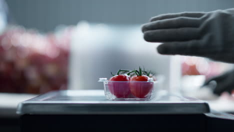 trabajador clasificando tomates cerezos proceso de embalaje cortando partes en escalas de cerca