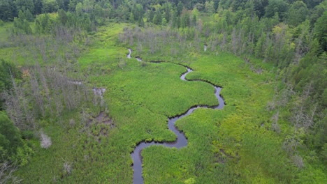 Luftaufnahme-Von-Wald,-Sumpf-Und-Bach,-Langsam-Nach-Oben-Schwenkend