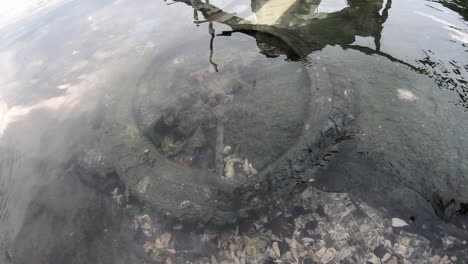 neumático viejo como basura en el agua de mar.