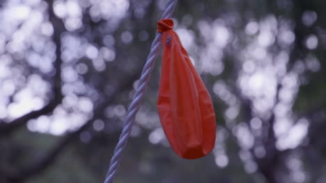 deflated orange balloon tied to a rope and a small spider crawling on it