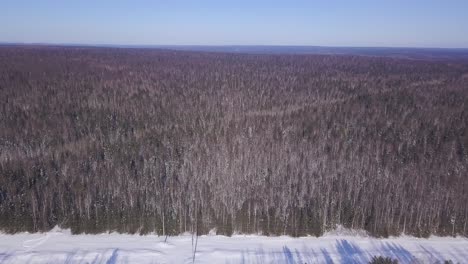 winter forest aerial view