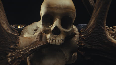 skull with antlers and candles