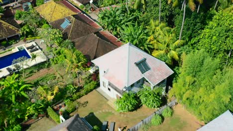 Luftzoom-Aus-Wohnvillen-Im-Dschungel-Von-Lovina-In-Nord-Bali,-Indonesien