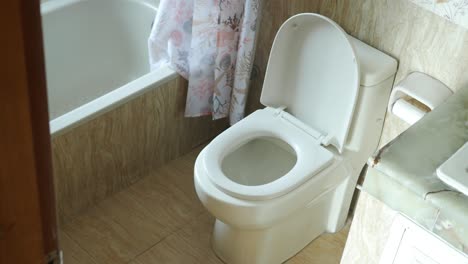 bathroom with toilet and bathtub