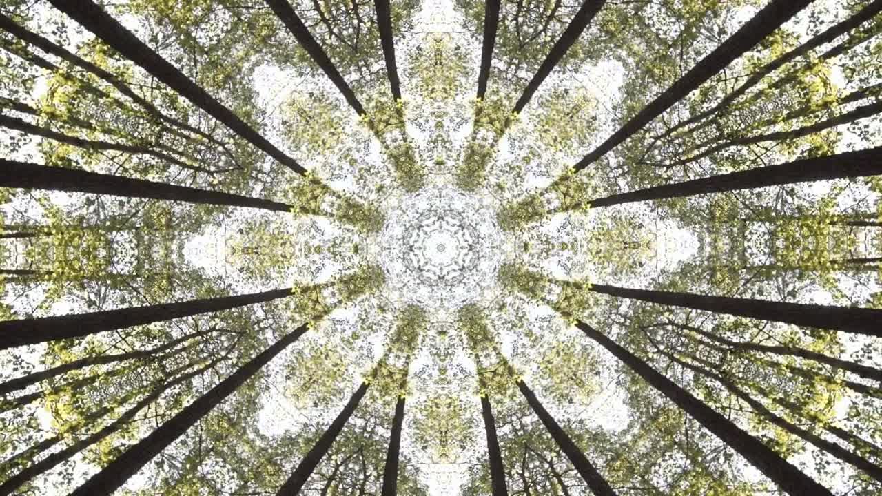caleidoscopio geométrico patrón animado resumen naturaleza