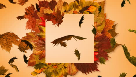 multiple autumn maple leaves falling over leaves and copy space against orange background