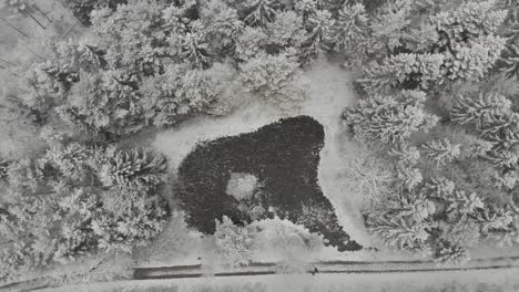 Aerial-view-of-a-pond-in-a-forest-in-southern-Germany-during-snowfall