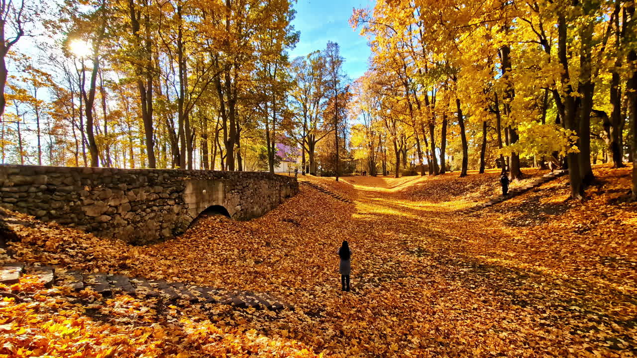Folhas douradas de outono cobrem o chão da floresta perto de uma antiga ponte de pedra. Lielvarde, Letônia