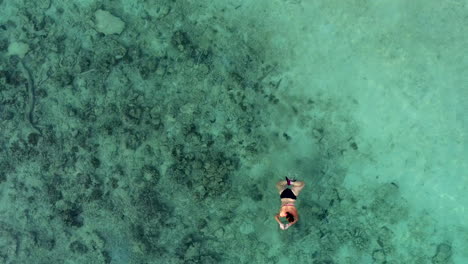 Schwimmendes-Mädchen-Im-Meer