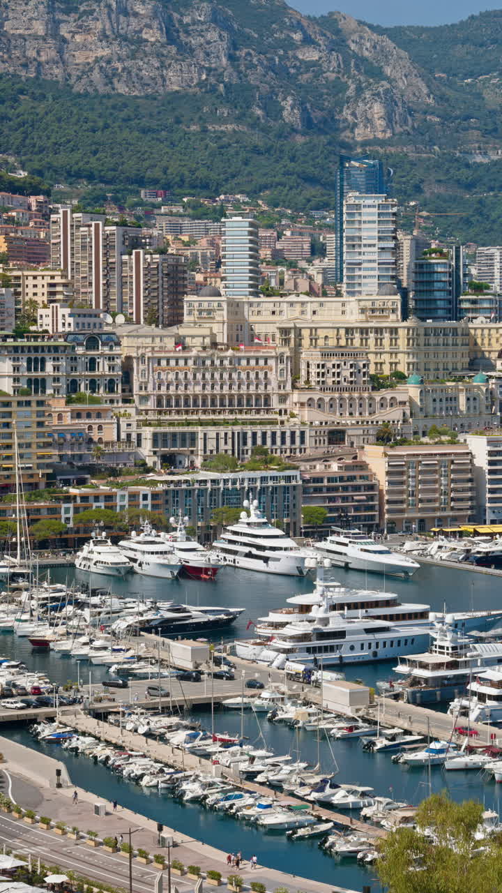 View of boats docked in the Monaco Marina with the skyline of the city on the background. Vertical