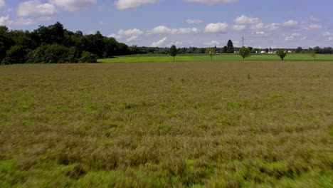 from low height to the higher overview, flying by drone over a beautiful summer field with a harmonic blue sky