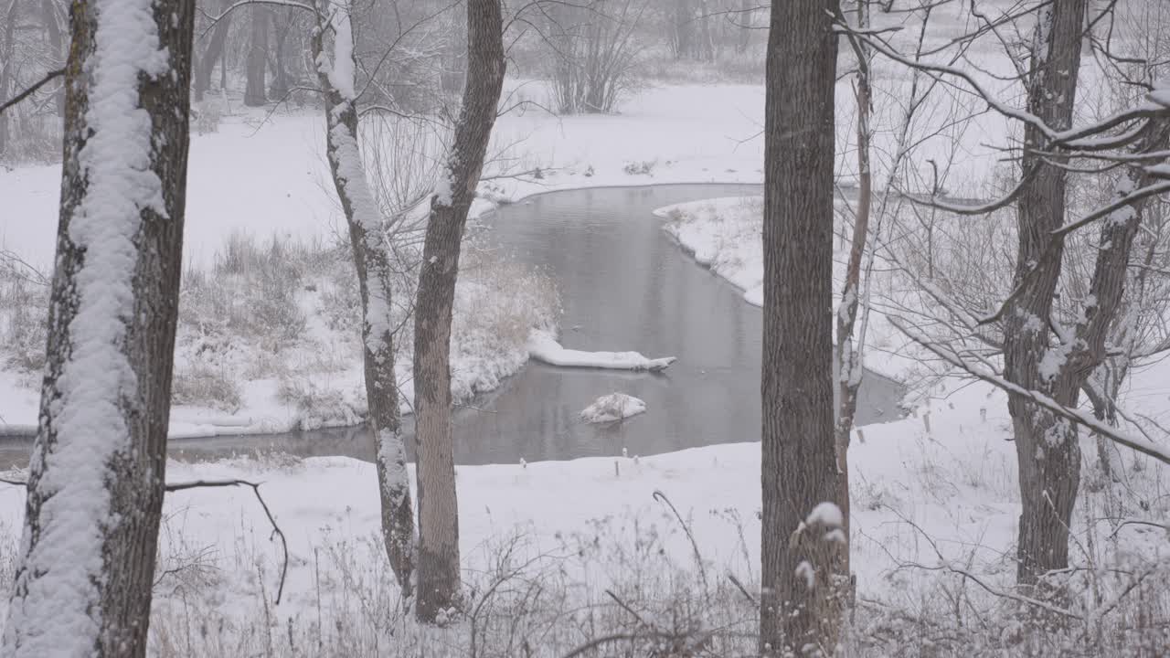 Snow-covered trees and a winding river in a peaceful Minnesota winter landscape