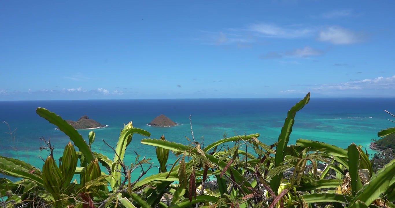 Oahu, Hawaii'deki Lanikai Plajı ve Mokulua adalarının turkuaz sahil şeridi