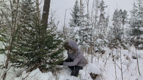 Mujeres-Vestidas-Para-El-Invierno-Cortando-Un-árbol-De-Navidad-De-Abeto-Con-Una-Sierra-De-Madera-Manual